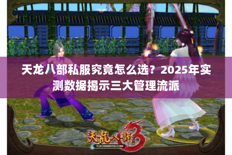 天龙八部私服究竟怎么选？2025年实测数据揭示三大管理流派