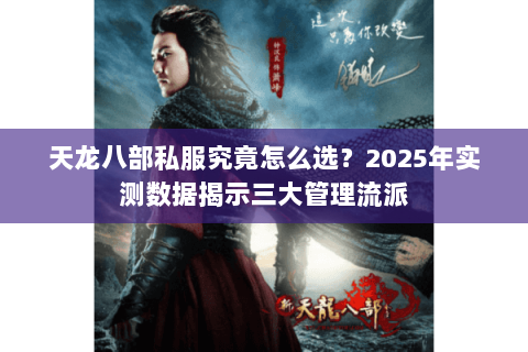 天龙八部私服究竟怎么选？2025年实测数据揭示三大管理流派