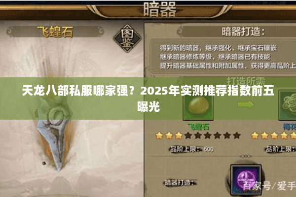 天龙八部私服哪家强?2025年实测推荐指数前五曝光 天龙八部私服哪家强?2025年实测推荐指数前五曝光