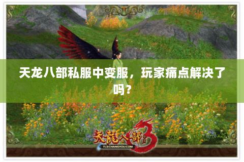 天龙八部私服中变服，玩家痛点解决了吗？