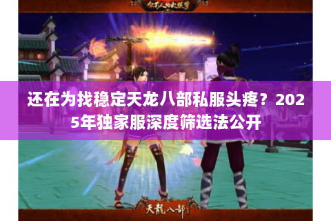 还在为找稳定天龙八部私服头疼?2025年独家服深度筛选法公开 还在为找稳定天龙八部私服头疼?2025年独家服深度筛选法公开