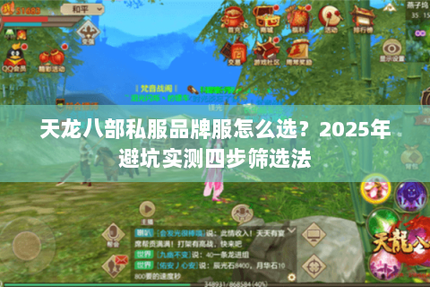 天龙八部私服品牌服怎么选?2025年避坑实测四步筛选法 天龙八部私服品牌服怎么选?2025年避坑实测四步筛选法