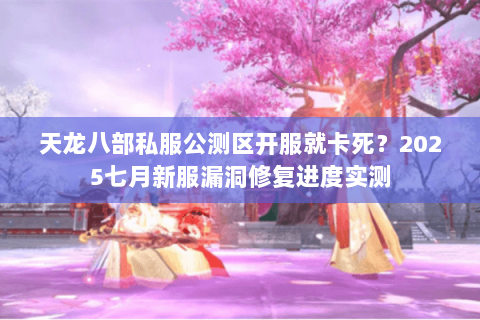 天龙八部私服公测区开服就卡死?2025七月新服漏洞修复进度实测 天龙八部私服公测区开服就卡死?2025七月新服漏洞修复进度实测