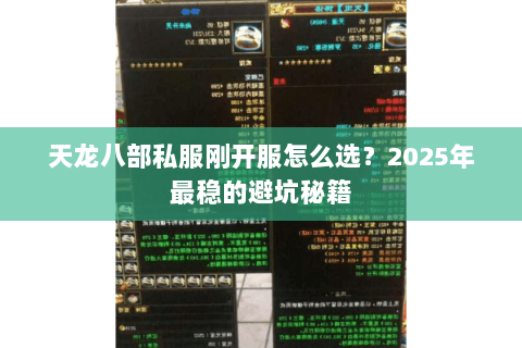 天龙八部私服刚开服怎么选?2025年最稳的避坑秘籍 天龙八部私服刚开服怎么选?2025年最稳的避坑秘籍