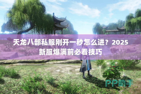 天龙八部私服刚开一秒怎么进?2025新服爆满前必看技巧 天龙八部私服刚开一秒怎么进?2025新服爆满前必看技巧
