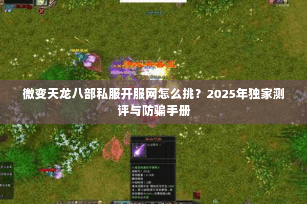 微变天龙八部私服开服网怎么挑?2025年独家测评与防骗手册 微变天龙八部私服开服网怎么挑?2025年独家测评与防骗手册