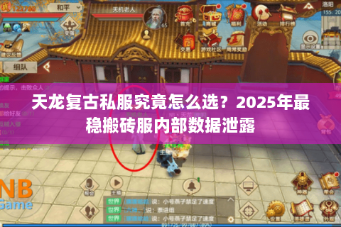 天龙复古私服究竟怎么选?2025年最稳搬砖服内部数据泄露 天龙复古私服究竟怎么选?2025年最稳搬砖服内部数据泄露