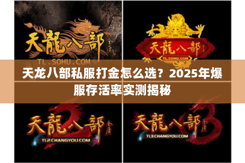 天龙八部私服打金怎么选?2025年爆服存活率实测揭秘 天龙八部私服打金怎么选?2025年爆服存活率实测揭秘