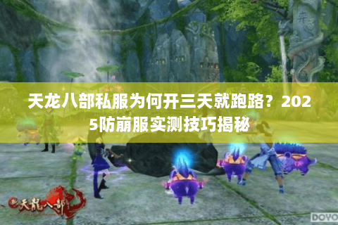 天龙八部私服为何开三天就跑路？2025防崩服实测技巧揭秘