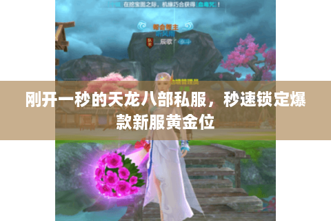 刚开一秒的天龙八部私服,秒速锁定爆款新服黄金位 刚开一秒的天龙八部私服,秒速锁定爆款新服黄金位