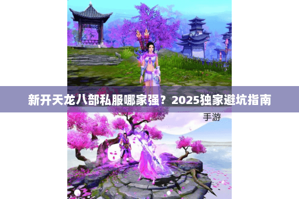 新开天龙八部私服哪家强？2025独家避坑指南