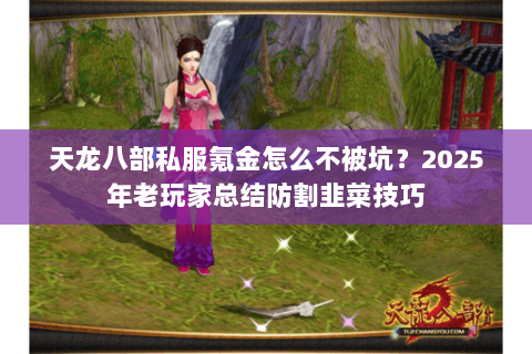 天龙八部私服氪金怎么不被坑?2025年老玩家总结防割韭菜技巧 天龙八部私服氪金怎么不被坑?2025年老玩家总结防割韭菜技巧