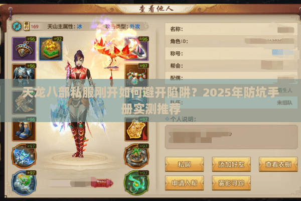 天龙八部私服刚开如何避开陷阱？2025年防坑手册实测推荐