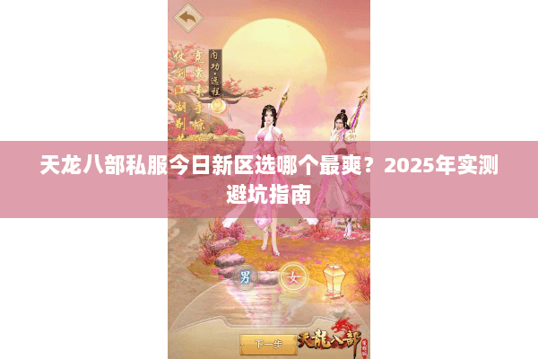 天龙八部私服今日新区选哪个最爽？2025年实测避坑指南