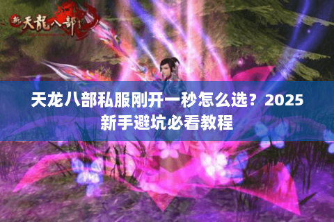 天龙八部私服刚开一秒怎么选？2025新手避坑必看教程