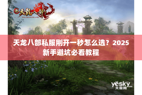 天龙八部私服刚开一秒怎么选？2025新手避坑必看教程