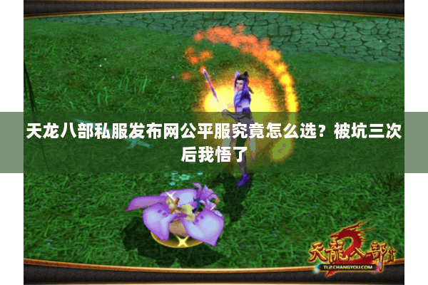天龙八部私服发布网公平服究竟怎么选?被坑三次后我悟了 天龙八部私服发布网公平服究竟怎么选?被坑三次后我悟了