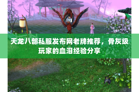 天龙八部私服发布网老牌推荐，骨灰级玩家的血泪经验分享