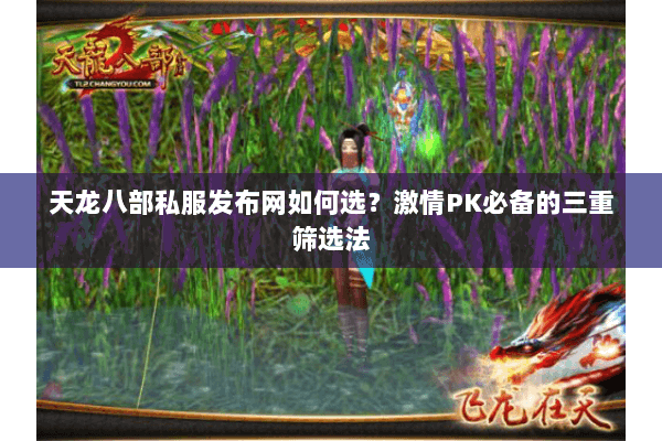 天龙八部私服发布网如何选？激情PK必备的三重筛选法