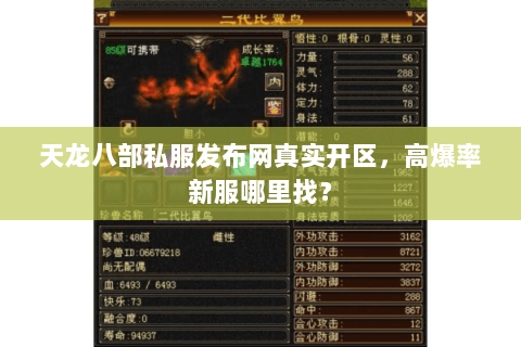 天龙八部私服发布网真实开区，高爆率新服哪里找？