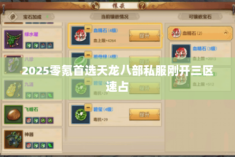 2025零氪首选天龙八部私服刚开三区速占 2025零氪首选天龙八部私服刚开三区速占