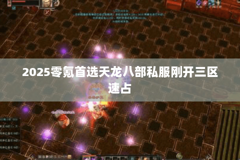 2025零氪首选天龙八部私服刚开三区速占 2025零氪首选天龙八部私服刚开三区速占