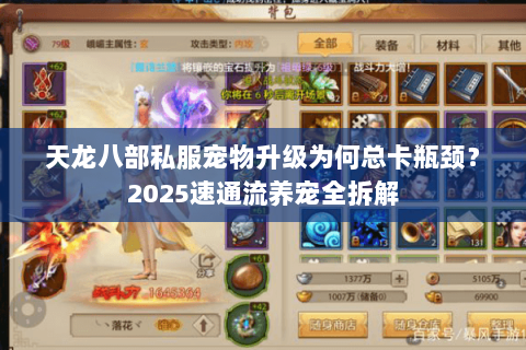 天龙八部私服宠物升级为何总卡瓶颈?2025速通流养宠全拆解 天龙八部私服宠物升级为何总卡瓶颈?2025速通流养宠全拆解