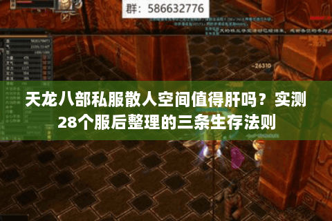 天龙八部私服散人空间值得肝吗?实测28个服后整理的三条生存法则 天龙八部私服散人空间值得肝吗?实测28个服后整理的三条生存法则