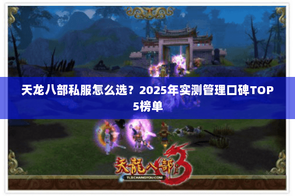 天龙八部私服怎么选?2025年实测管理口碑TOP5榜单 天龙八部私服怎么选?2025年实测管理口碑TOP5榜单