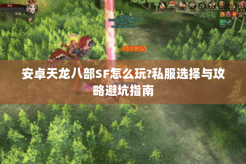 安卓天龙八部SF怎么玩?私服选择与攻略避坑指南 安卓天龙八部SF怎么玩?私服选择与攻略避坑指南