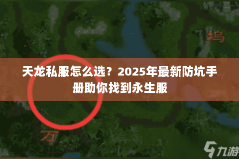 天龙私服怎么选?2025年最新防坑手册助你找到永生服 天龙私服怎么选?2025年最新防坑手册助你找到永生服