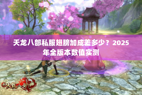 天龙八部私服翅膀加成差多少?2025年全版本数值实测 天龙八部私服翅膀加成差多少?2025年全版本数值实测