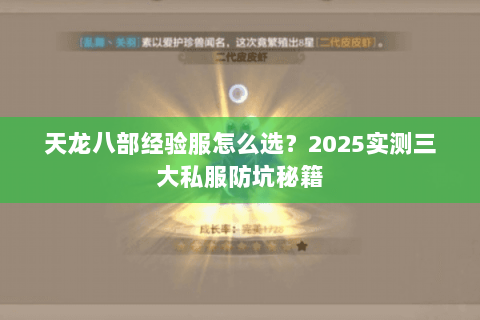 天龙八部经验服怎么选?2025实测三大私服防坑秘籍 天龙八部经验服怎么选?2025实测三大私服防坑秘籍