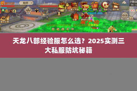 天龙八部经验服怎么选?2025实测三大私服防坑秘籍 天龙八部经验服怎么选?2025实测三大私服防坑秘籍