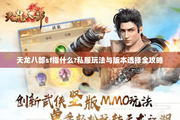 天龙八部sf指什么?私服玩法与版本选择全攻略