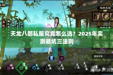 天龙八部私服究竟怎么选?2025年实测避坑三法则 天龙八部私服究竟怎么选?2025年实测避坑三法则