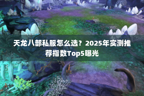 天龙八部私服怎么选?2025年实测推荐指数Top5曝光 天龙八部私服怎么选?2025年实测推荐指数Top5曝光