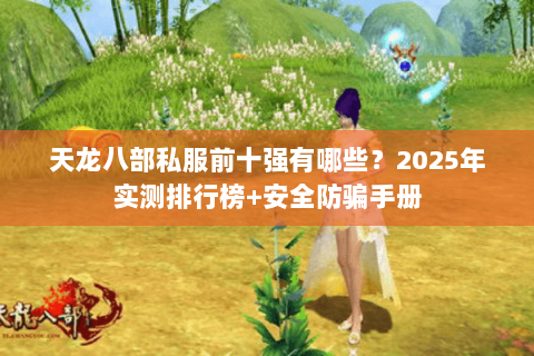 天龙八部私服前十强有哪些?2025年实测排行榜+安全防骗手册 天龙八部私服前十强有哪些?2025年实测排行榜+安全防骗手册