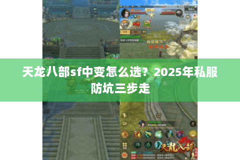 天龙八部sf中变怎么选？2025年私服防坑三步走