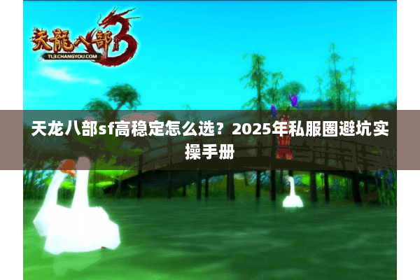 天龙八部sf高稳定怎么选？2025年私服圈避坑实操手册