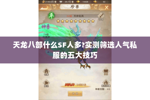 天龙八部什么SF人多?实测筛选人气私服的五大技巧