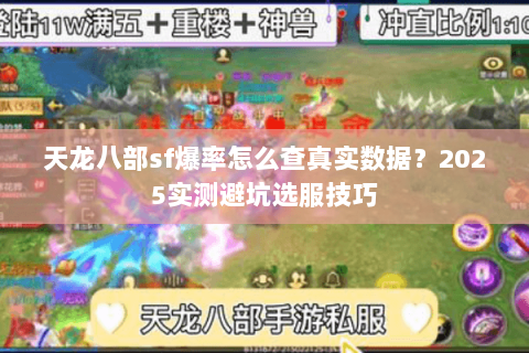 天龙八部sf爆率怎么查真实数据？2025实测避坑选服技巧