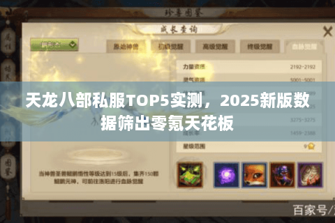 天龙八部私服TOP5实测,2025新版数据筛出零氪天花板 天龙八部私服TOP5实测,2025新版数据筛出零氪天花板