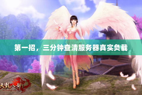 第一招,三分钟查清服务器真实负载 第一招,三分钟查清服务器真实负载
