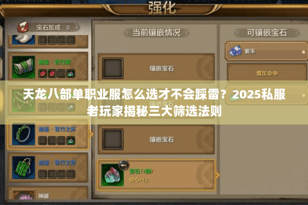 天龙八部单职业服怎么选才不会踩雷?2025私服老玩家揭秘三大筛选法则 天龙八部单职业服怎么选才不会踩雷?2025私服老玩家揭秘三大筛选法则