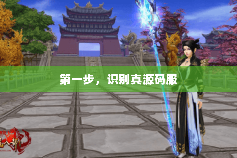第一步,识别真源码服 第一步,识别真源码服