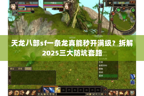 天龙八部sf一条龙真能秒开满级？拆解2025三大防坑套路
