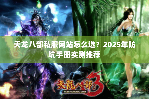 天龙八部私服网站怎么选？2025年防坑手册实测推荐