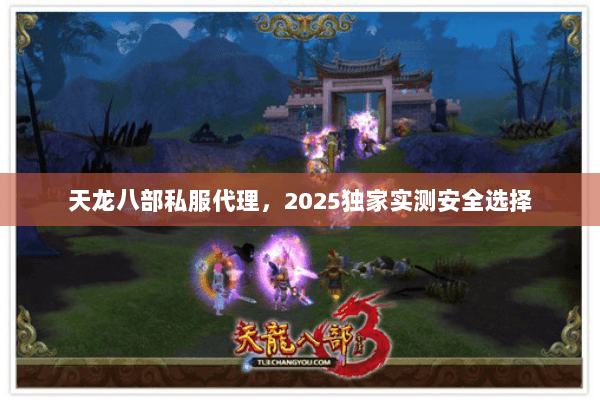 天龙八部私服代理，2025独家实测安全选择