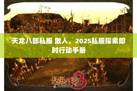 天龙八部私服 散人，2025私服探索即时行动手册